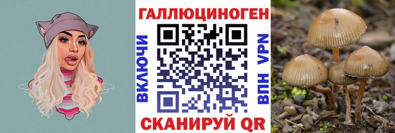 Галлюциногенные грибы Cubensis  Сыктывкар 